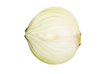 Canvas Print - Onion