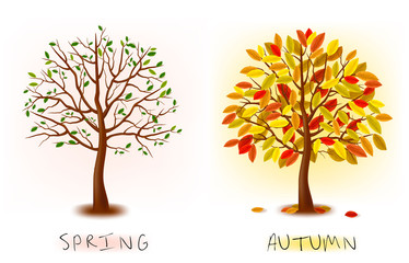 Aufkleber - Art tree beautiful for design. Vector