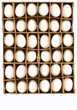 großer Eierkarton mit vielen weißen Eiern 