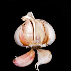 Wall Mural - Garlic in isolated