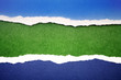 © Stillfx - Ripped blue paper on green
