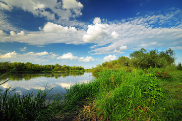 beautiful summer landscape