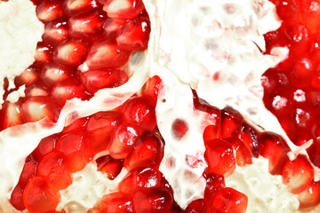 Wall Mural - pomegranate