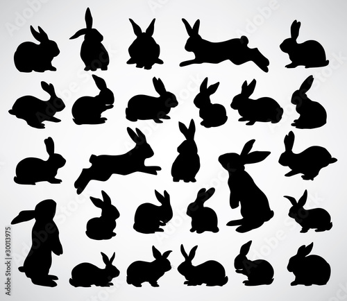 Cuadros en Lienzo big collection of rabbit silhouettes