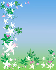 Wall Mural - jasmine flowers