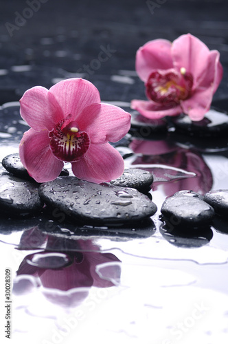 Fototapeta na wymiar still life with pink orchid reflection