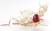 Easter Egg Between Branches