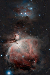 Wall Mural - Great Orion Nebula
