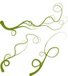 vector design element curve, spring vectorial green liana