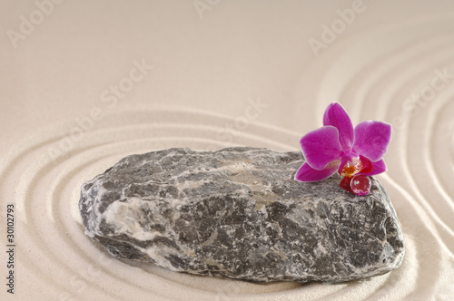 Plakat na zamówienie Orchidee auf Stein mit Wassertropfen und Sand