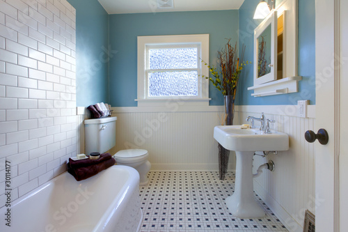 Fotomural Antique luxury design of blue bathroom