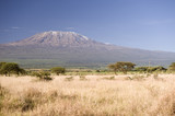 Fototapeta Sawanna - Kilimanjaro Mountain