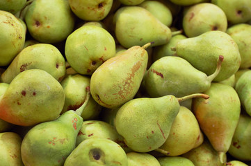 Wall Mural - Close up of pears