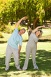 © WavebreakMediaMicro - Mature couple doing their streches in the park