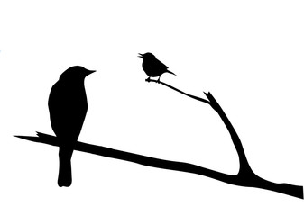 Poster - silhouette of the bird on branch