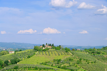 Wall Mural - Podere 42