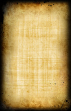 Egyptian  Papyrus