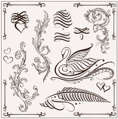  Kalligraphie, vector set, filigran, design elements