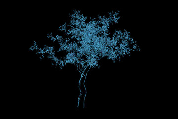 Magic tree 3D rendered xray blue transparent