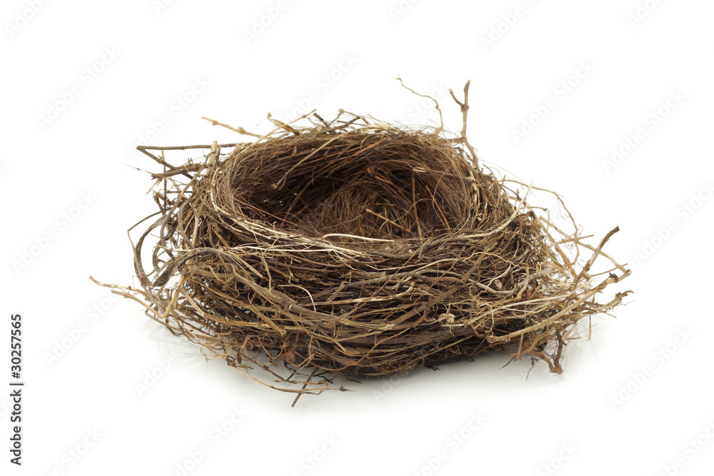 Empty bird nest - obrazy, fototapety, plakaty 
