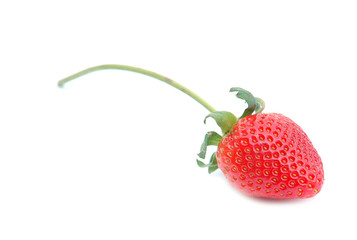 fresh strawberry