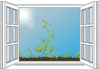 Vector illustration green sprouts in an open window