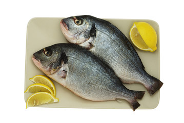 Two raw denis fishes on plate