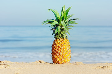 Wall Mural - Pineapple near sea