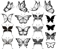 Butterflies Clipart Fashionable