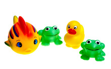 Multicolored Rubber Toys (frogs, Ducks, Fish) Are Isolated On A