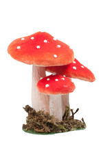 Mushroom Spores Is Important On Your Success. Read This To Seek Out Out Why