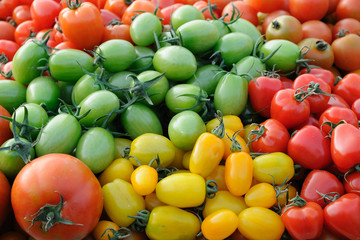 Wall Mural - Colorful assorted tomatoes