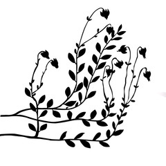 Wall Mural - cranberry bush on white background