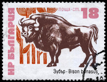 BULGARIA - CIRCA 1973 Bison