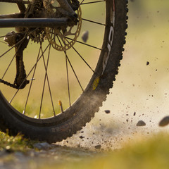 Mountainbiker auf einem Feldweg