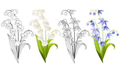 Collection of spring flowers isolated on white background