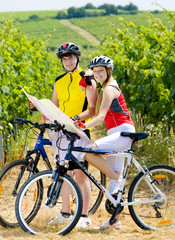 Wall Mural - bikers holding a map in vineyard, Czech Republic