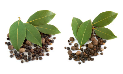 Wall Mural - Fresh bay leaves