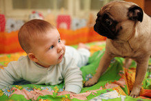 Cute Baby Girl Looking At Pug Dog. Closeup, Shallow DOF