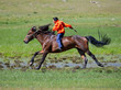 on horseback across the steppe