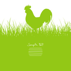 Poster - Rooster In Green Meadow