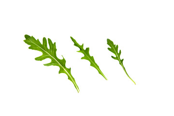 Ruccola Leaves