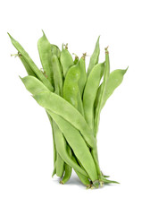 Canvas Print - broad beans