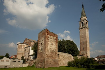 Wall Mural - Cologna Veneta, castle and walled city