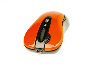 The mouse for a computer