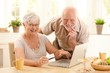 © nyul - Portrait of happy old couple shopping online