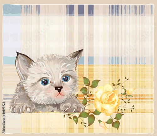 Fototapeta na wymiar fluffy kitten with rose