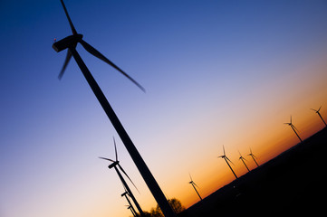 Wind farm at sunset