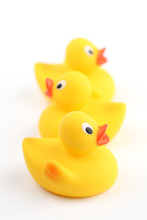 Rubber Ducklings