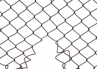 Wall Mural - Metal wire fence protection isolated on white for background